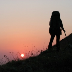 Инна Седельникова, Бронницы