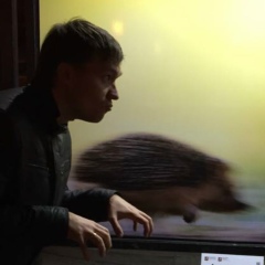 Дмитрий Францев, 01.05.1982, Новосибирск