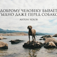 Стас Абрамов, 03.04, Москва