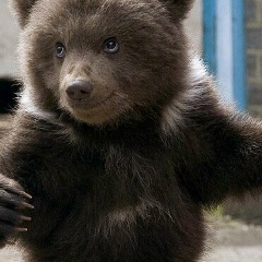 Михаил Богданов, 22.06