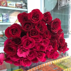 Emerald-King Shine, 07.01.1986, Yangon