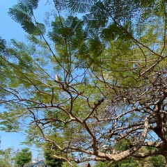 Natalia Handadorjieva, Улан-Удэ