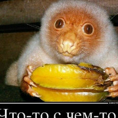 Степан Шумай, 24.11.1983, Алматы