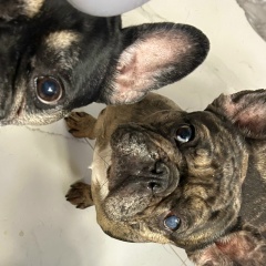 Евгения Зайцева, 19.08, Санкт-Петербург