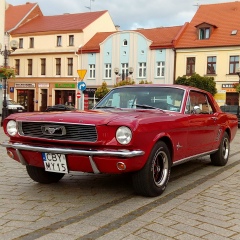 Рома Сычёв, 14.10, Светловодск