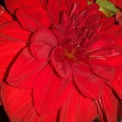 Гульмира Сайдимова, 29.09.1987