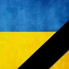 Елена Соколенко, 14.12, Киев