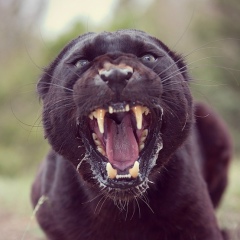 Аскар Бердибеков, 03.06, Алматы