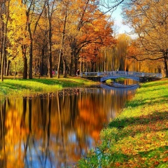 Юлия Ларюшкина, 03.11, Санкт-Петербург