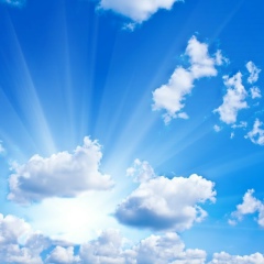 Татьяна Балтаг, Вологда