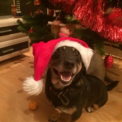 Светлана Радюк, 04.08, Вологда