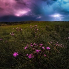 Kothitsar Oo, 03.05.1983