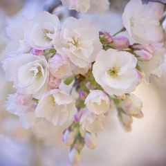 Лена Цветкова, 02.08.1985