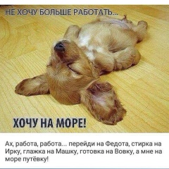 Светлана Смирнова-Дорогова, 22.06, Санкт-Петербург