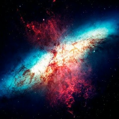 Alexey Pinezhaninov, 28.12.1982, Санкт-Петербург