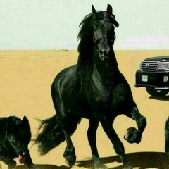 Данияр Садуакасов