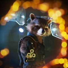 Димас Некрасов, Новая Ладога