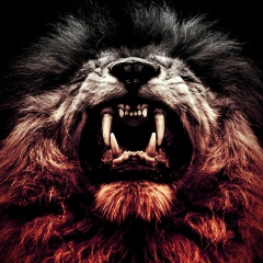 Nariman Garov, 25.04.1993, Бишкек