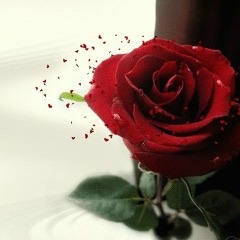 Марина Зозуля, Ессентуки