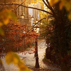 Den Skorpionchik, 16.11, Севастополь
