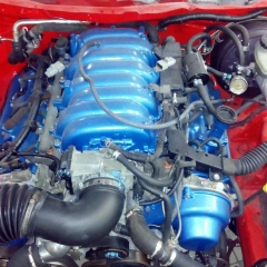 Александр Туркин, 31.12.1987, Санкт-Петербург