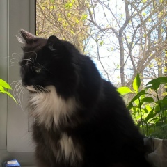 Денис Иванов, 01.12.1980, Санкт-Петербург