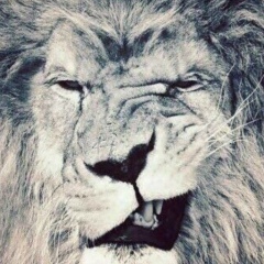 Хамзат Мизаев, Ростов-на-Дону