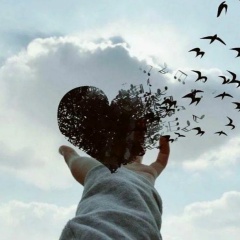 Алексей Щербина, 04.02.1988, Валуйки