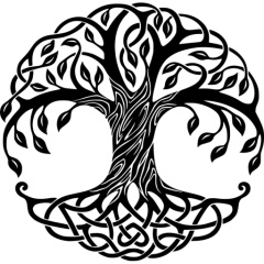 Ievgeni Raboish, 11.03, Санкт-Петербург