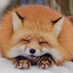 Анна Кондырева, 27.10