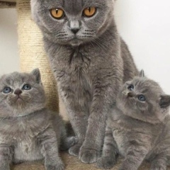 Айзан Мурдалова, 02.12.1985