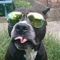 Ігор Стукан, 03.07.1982, Хмельницкий