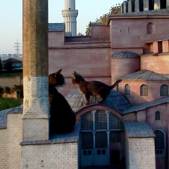 Olga Basova, 04.04, Чебоксары