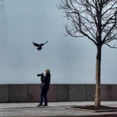 Елена Терёхина, Санкт-Петербург