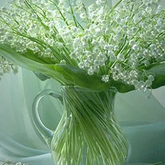 Жаннат Кулбалиева, Шымкент