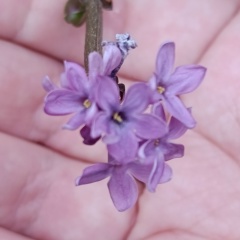 Наталья Федосеева, Кемерово