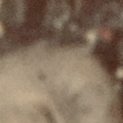 Наталья Володькина, 02.09, Москва