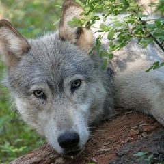 Дмитрий Никитин, 18.02, Самара