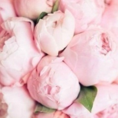 Татьяна Некрасова, Санкт-Петербург