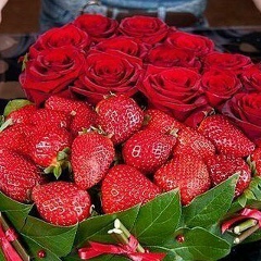 Ольга Удовиченко, Самара