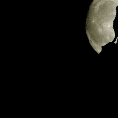 Юсуп Загалаев