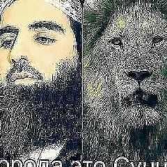 Бахтияр Ахмедов, Каракол
