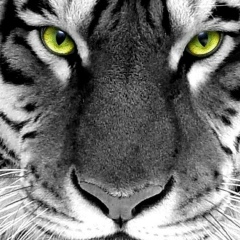 Евгений Сергеев, 27.01.1988, Одесса