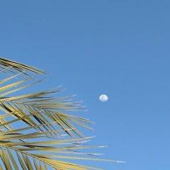 Станислав Бойков, Новосибирск