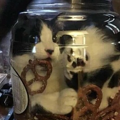 Саша Талавер, 05.09, Москва