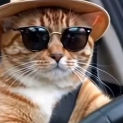 Женя Пузанов, 25.08, Санкт-Петербург