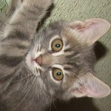 Вячеслав Капраренко, 17.10