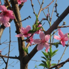 Евгения Меленец, 29.08, Барвенково