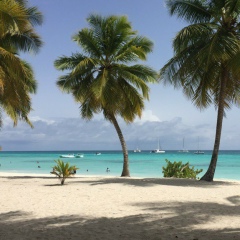 Даниил Привет, Москва