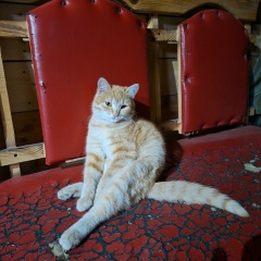 Дмитрий Загребин, 24.01.1979, Ижевск